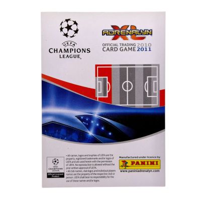 Cristian Chivu 2010-11 Panini #120 Inter Milano